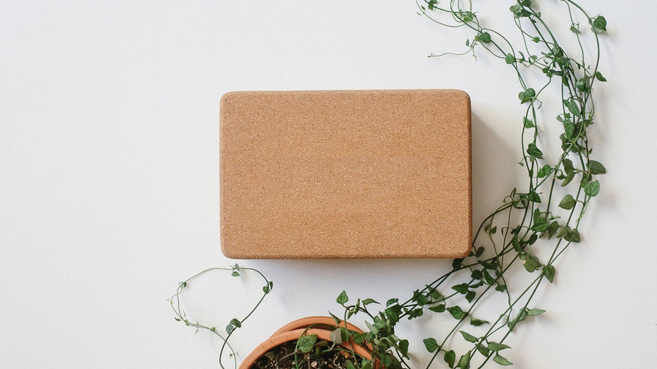 Introducing The Cork Yoga Block Valka Yoga NZ